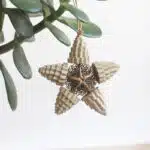 Heavenly Star Ornament