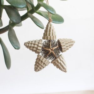 Star Ornament Eco-friendly Christmas Decoration